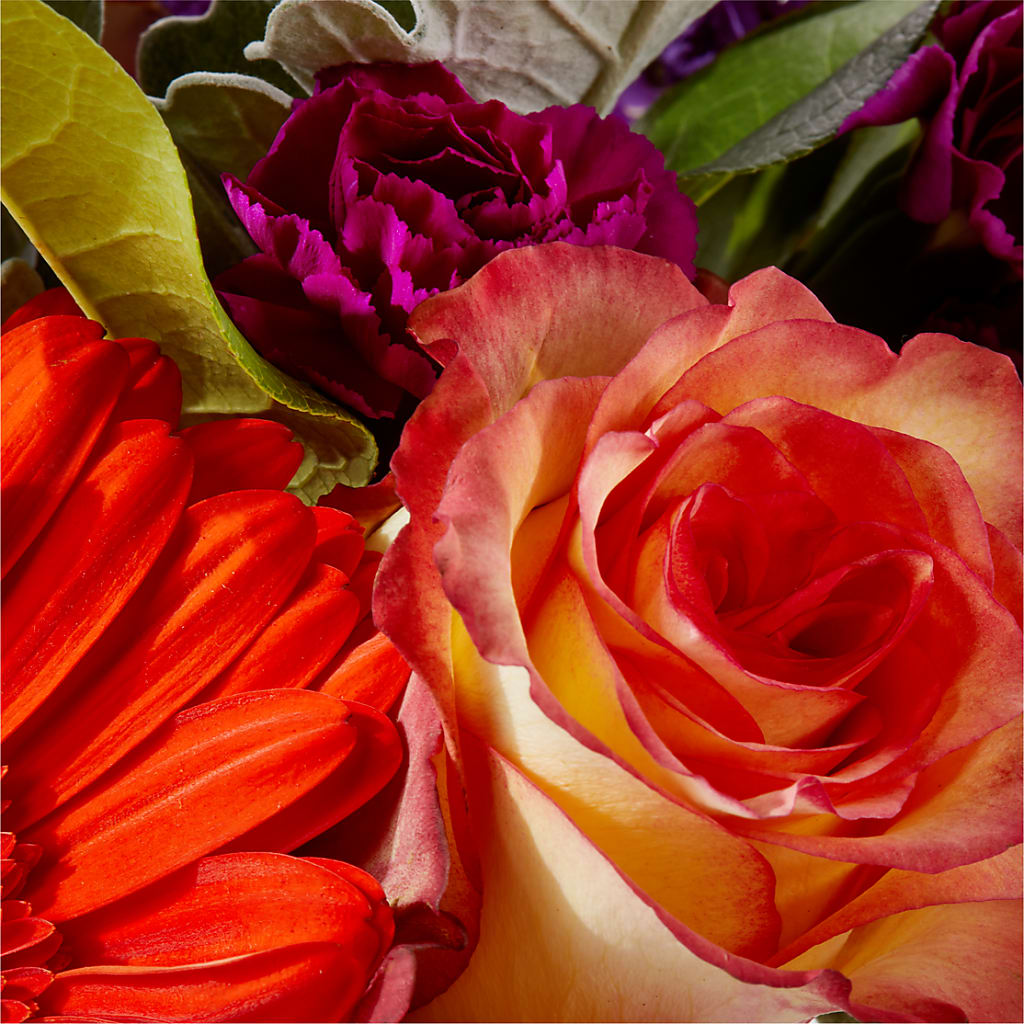 Sangria Bouquet –  Walnut Creek Florist, Walnut Creek CA