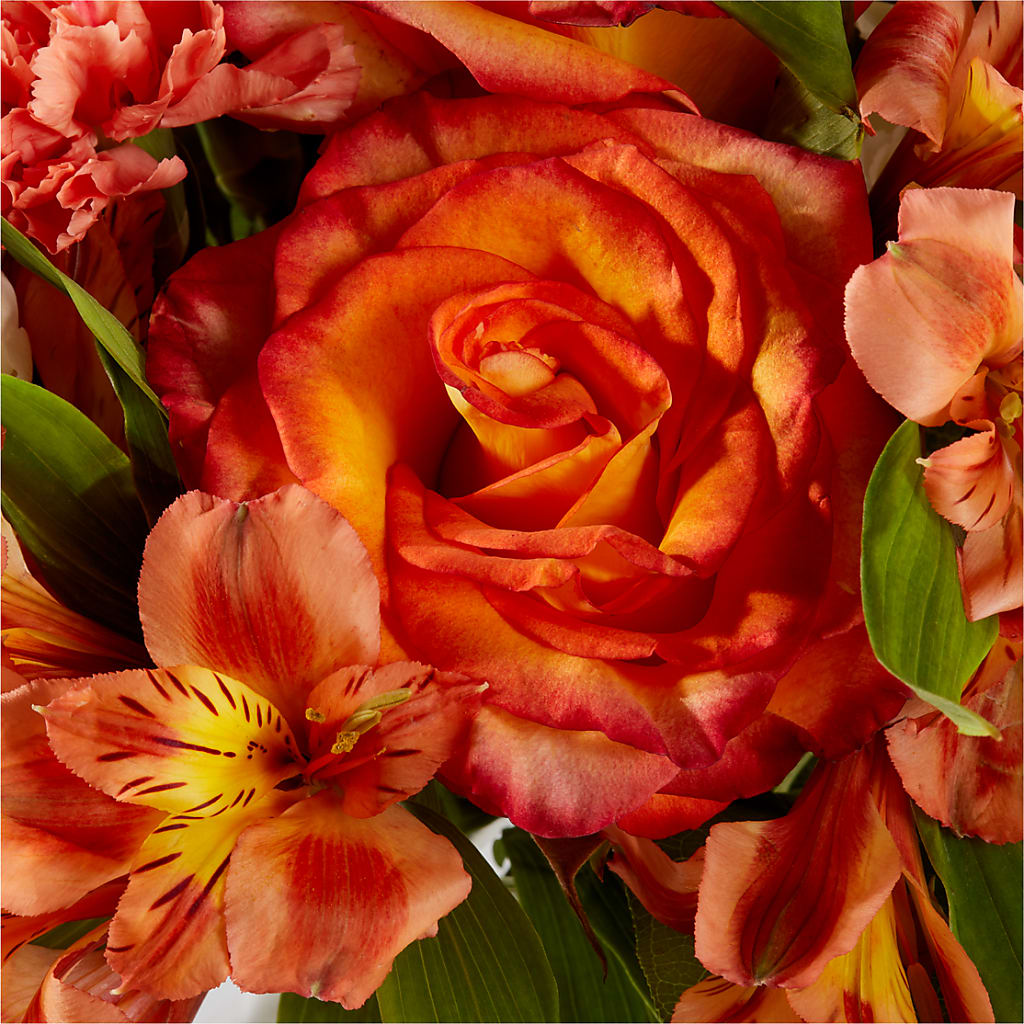 Apricot Glow Bouquet –  Walnut Creek Florist, Walnut Creek CA