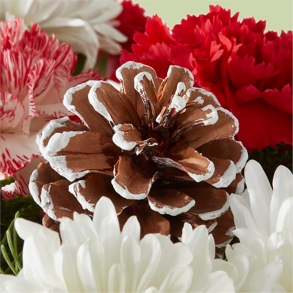 Candy Cane Lane Bouquet –  Walnut Creek Florist, Walnut Creek CA