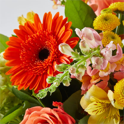 Autumn Sunshine Bouquet –  Walnut Creek Florist, Walnut Creek CA