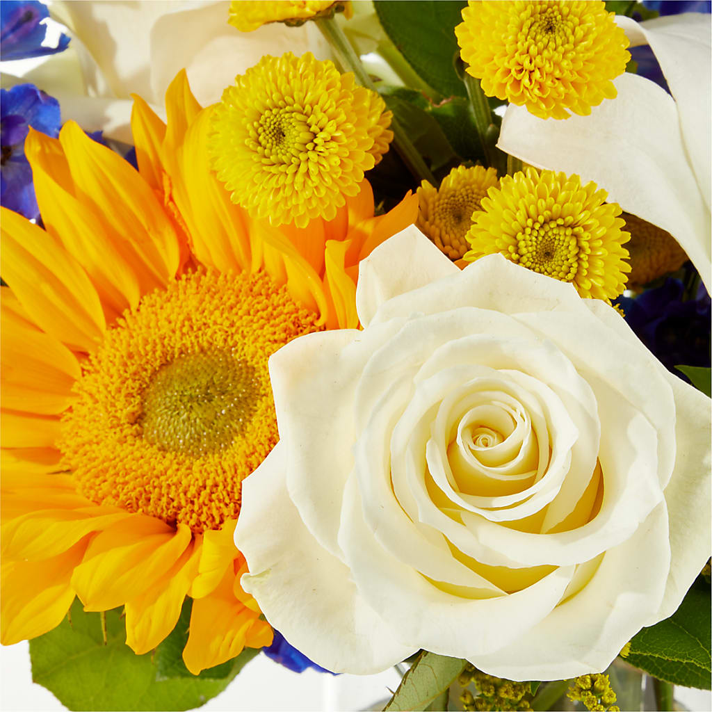 Stargazing Bouquet –  Walnut Creek Florist, Walnut Creek CA
