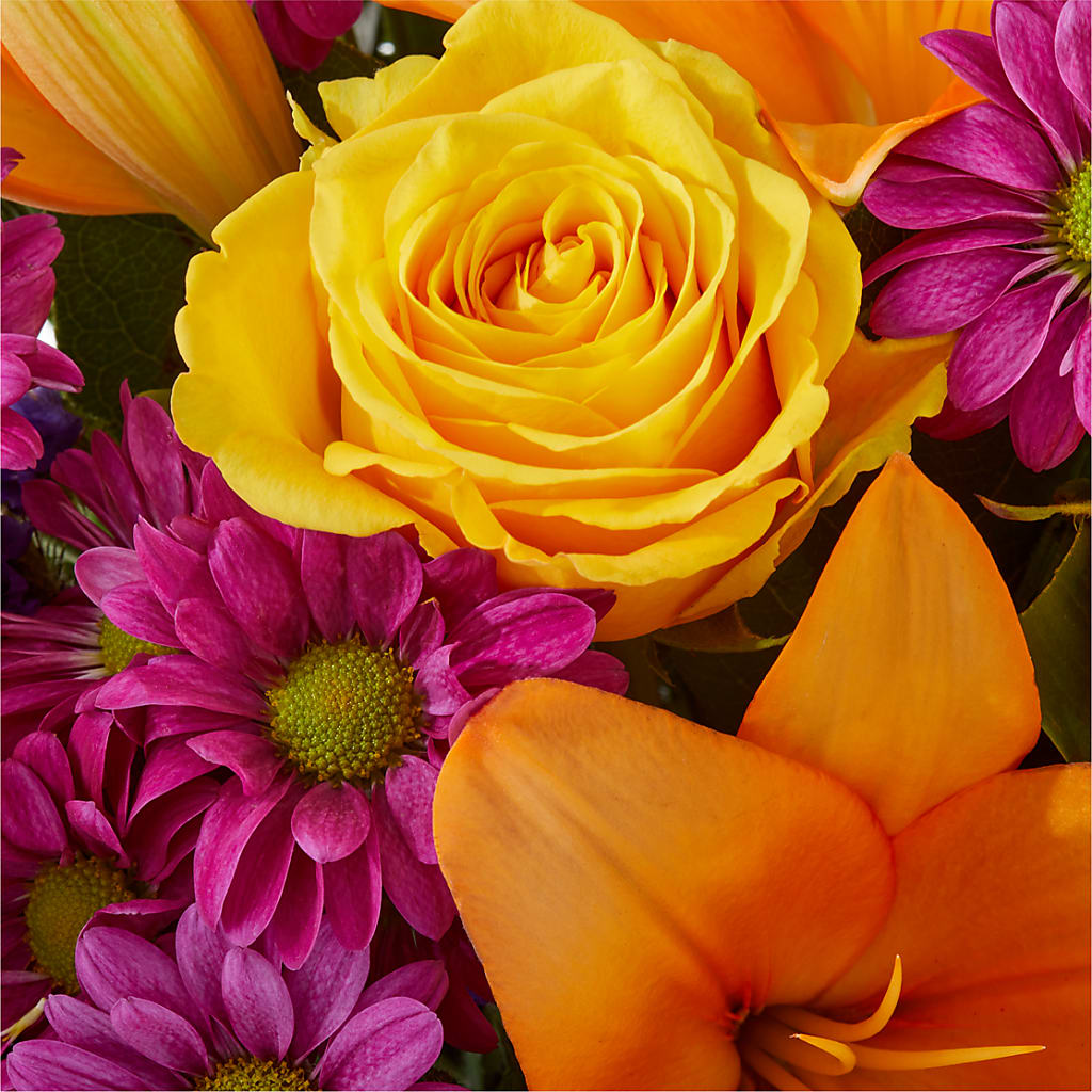 Colorful Visions Bouquet –  Walnut Creek Florist, Walnut Creek CA