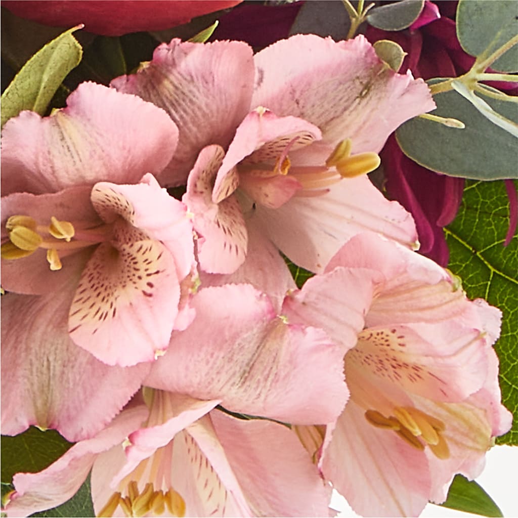 Berry Cobbler Bouquet –  Walnut Creek Florist, Walnut Creek CA