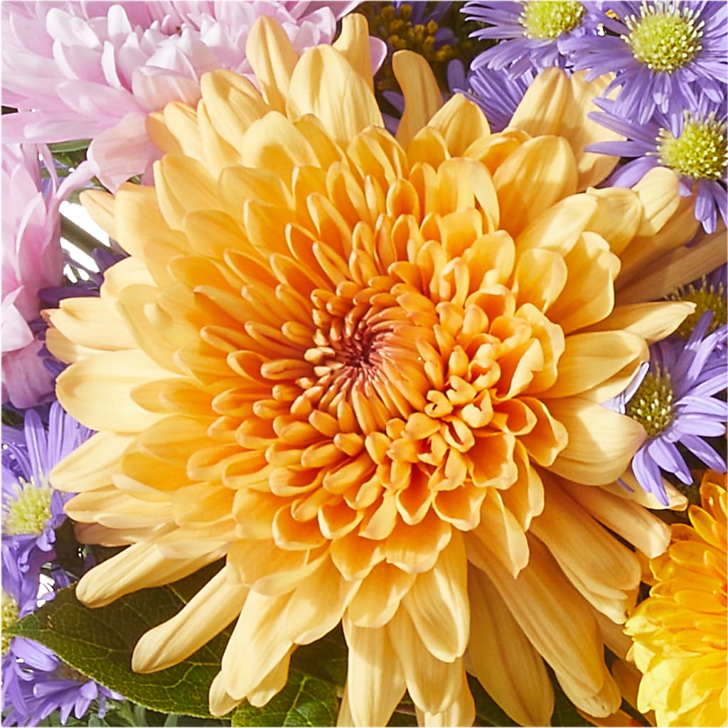 Countryside Bouquet –  Walnut Creek Florist, Walnut Creek CA