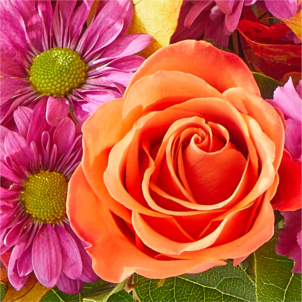 Mum's the Word Bouquet –  Walnut Creek Florist, Walnut Creek CA
