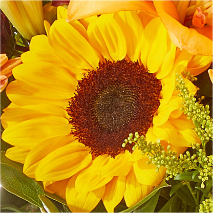 Seasons Change Bouquet –  Walnut Creek Florist, Walnut Creek CA