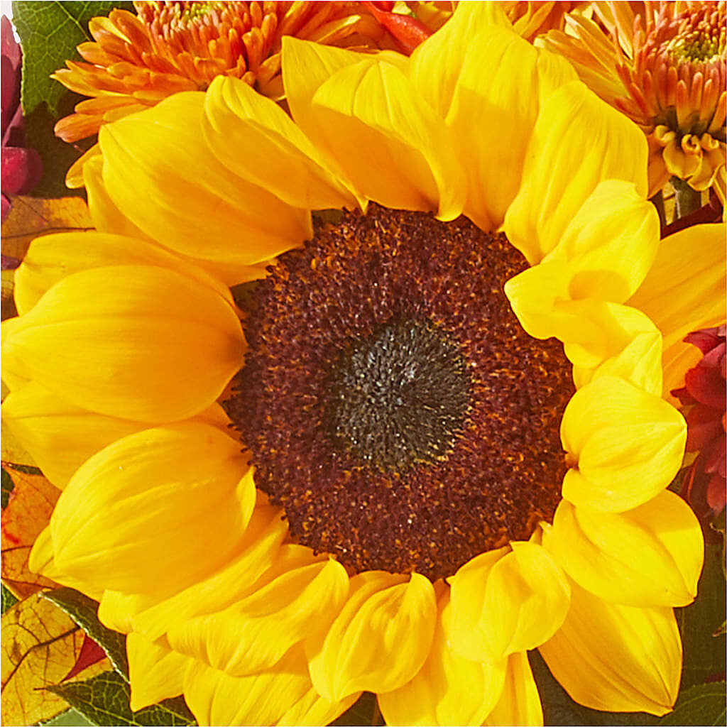 Sunny Side Bouquet –  Walnut Creek Florist, Walnut Creek CA