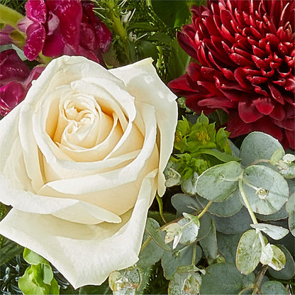 Cranberry Fizz Bouquet –  Walnut Creek Florist, Walnut Creek CA