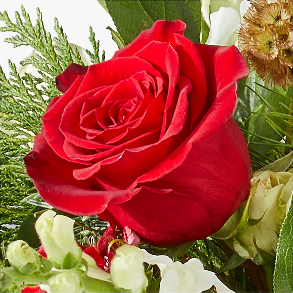 Deck the Halls Bouquet –  Walnut Creek Florist, Walnut Creek CA