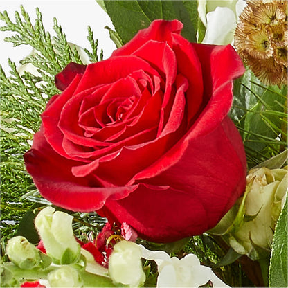 Deck the Halls Bouquet –  Walnut Creek Florist, Walnut Creek CA