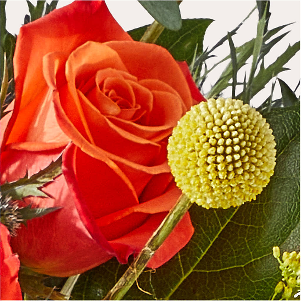 Disco Bouquet –  Walnut Creek Florist, Walnut Creek CA