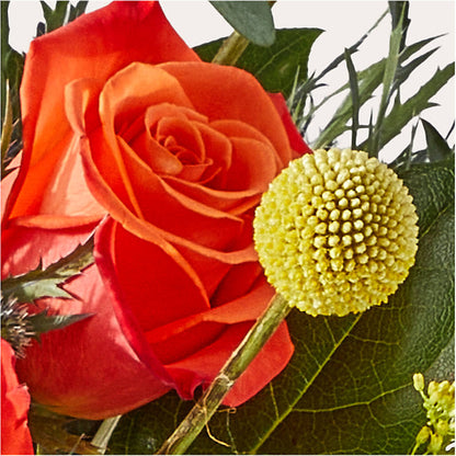Disco Bouquet –  Walnut Creek Florist, Walnut Creek CA