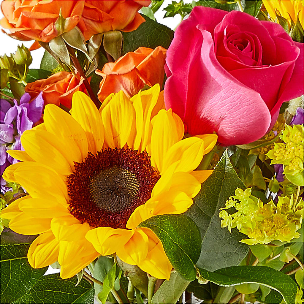 Vibrant Greetings Bouquet –  Walnut Creek Florist, Walnut Creek CA