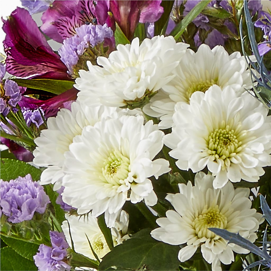 Shooting Star Bouquet –  Walnut Creek Florist, Walnut Creek CA