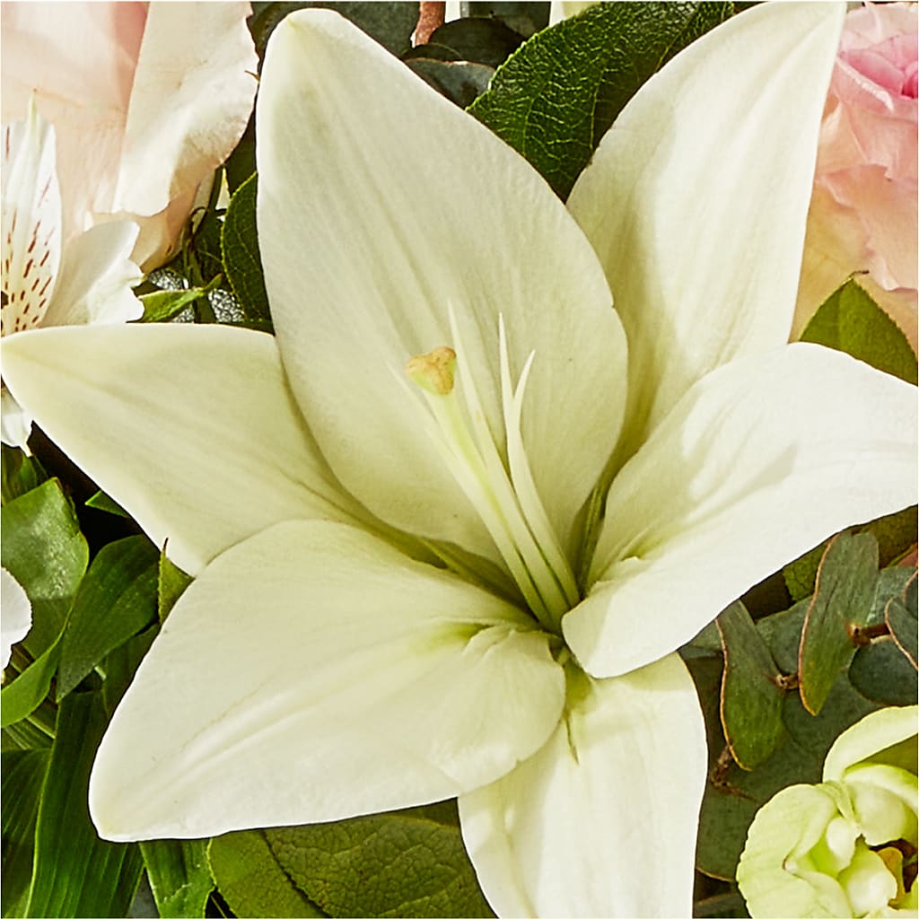 Ballet Slippers Bouquet –  Walnut Creek Florist, Walnut Creek CA