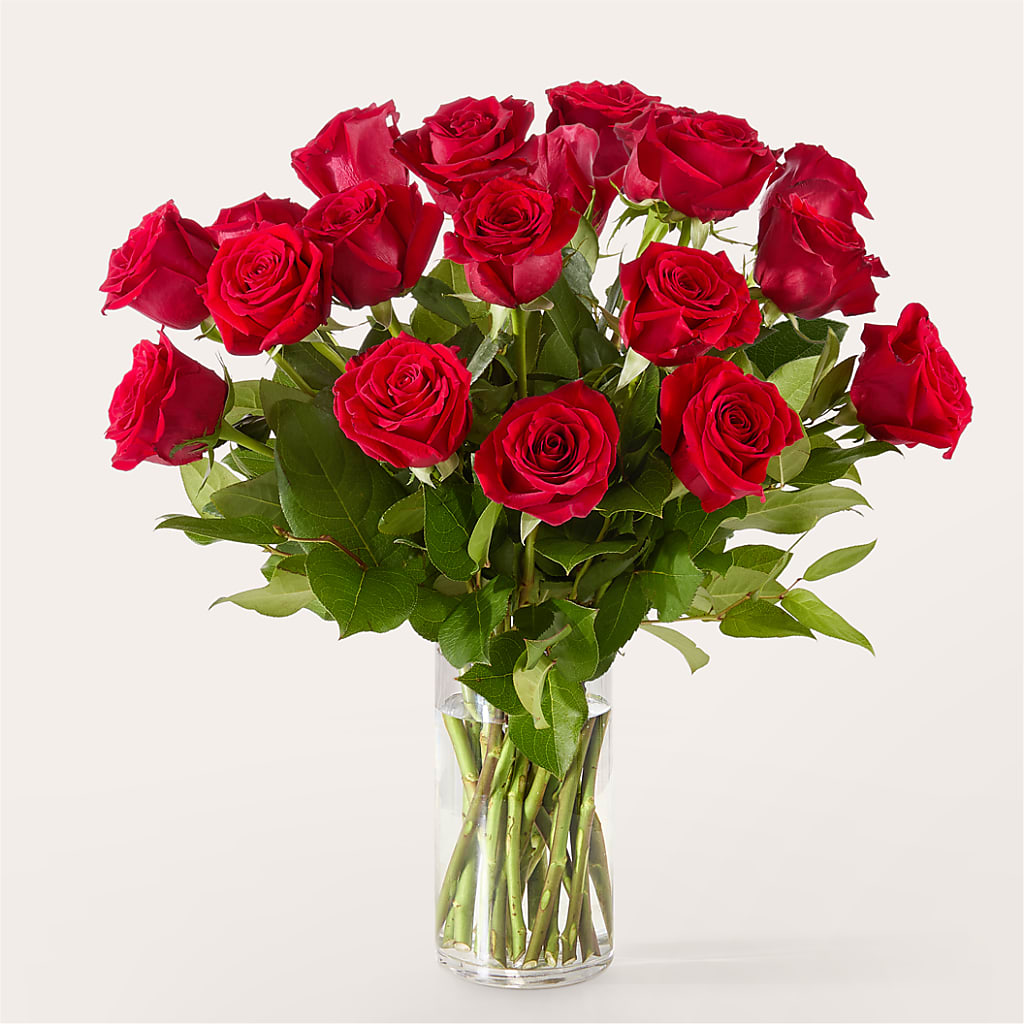 The One Red Rose Bouquet –  Walnut Creek Florist, Walnut Creek CA