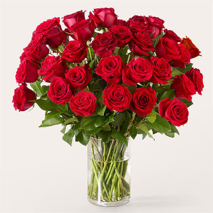 The One Red Rose Bouquet –  Walnut Creek Florist, Walnut Creek CA