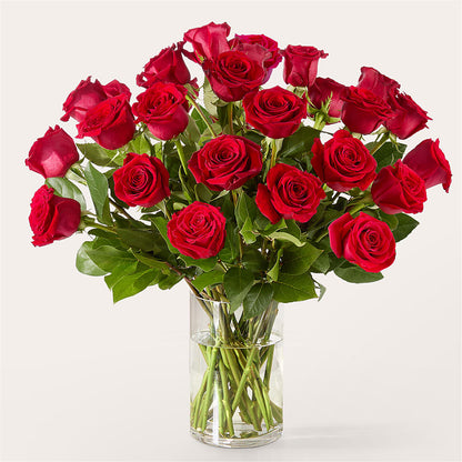 The One Red Rose Bouquet –  Walnut Creek Florist, Walnut Creek CA