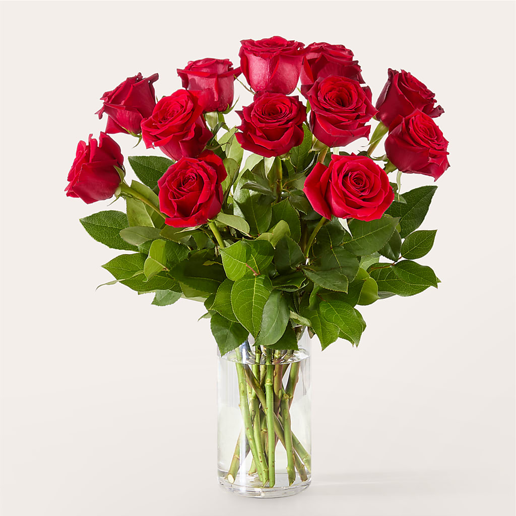 The One Red Rose Bouquet –  Walnut Creek Florist, Walnut Creek CA