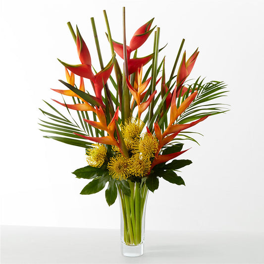 The Drama –  Walnut Creek Florist, Walnut Creek CA