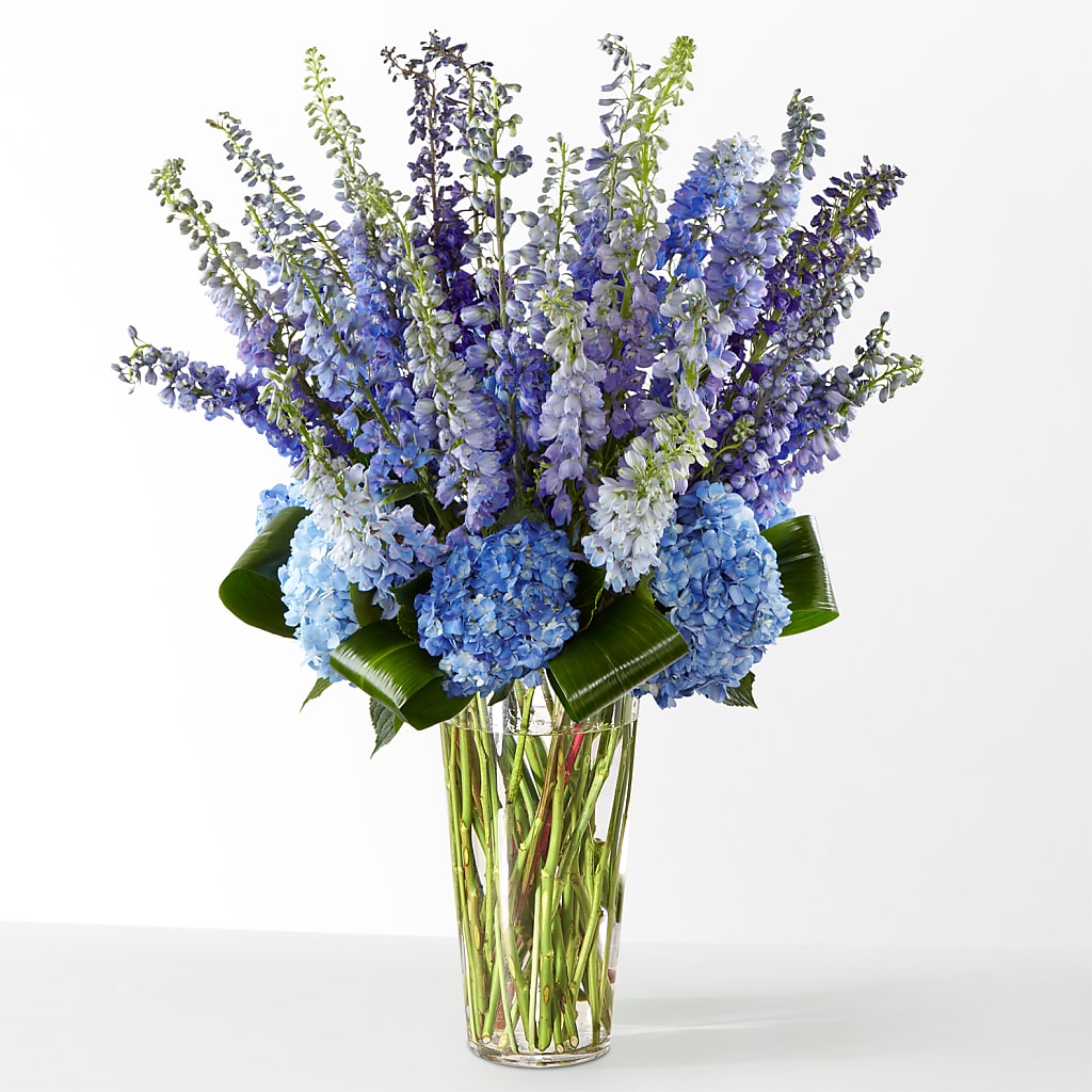 The Editorial –  Walnut Creek Florist, Walnut Creek CA