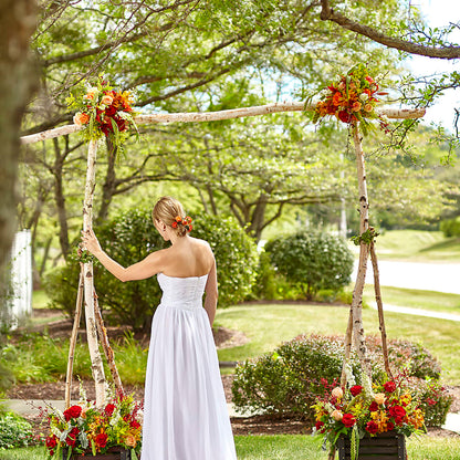 Arbor of Love Archway –  Walnut Creek Florist, Walnut Creek CA