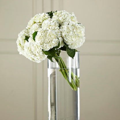 White Hydrangea Hand-Tied Bouquet –  Walnut Creek Florist, Walnut Creek CA