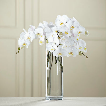 White Phalaenopsis Bouquet –  Walnut Creek Florist, Walnut Creek CA