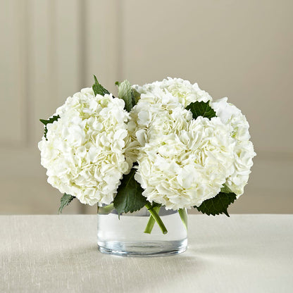 White Hydrangea Bouquet –  Walnut Creek Florist, Walnut Creek CA